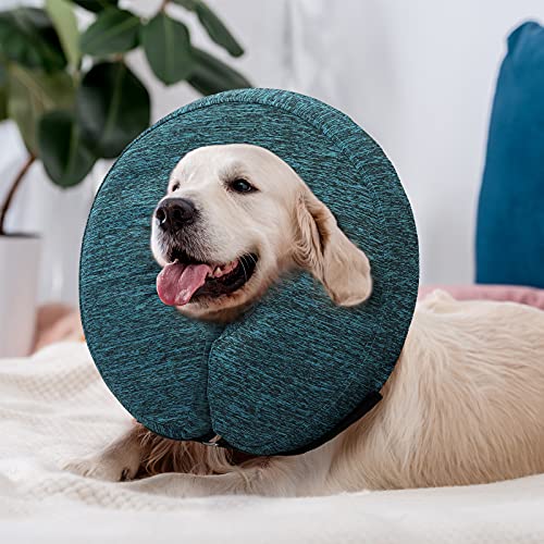 Post-Surgery Recovery Cone for Dogs on Mondays