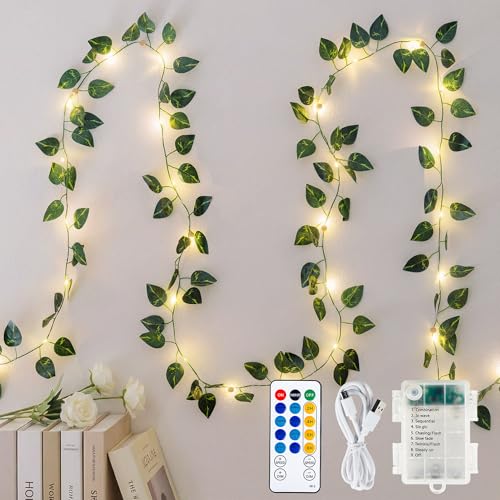 Vigne verte pothos lumineuse pour créer une ambiance bohème et cocooning en appartement