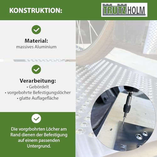 TRUTZHOLM Paar Lochblech Aluminium gebördelt 1000x400mm oder 1000x200mm (100 x 40 cm) (100 x 20 cm) 1,5 mm Stärke Trittsicherung Auffahrblech Schutzgitter (40 x 100 cm)
