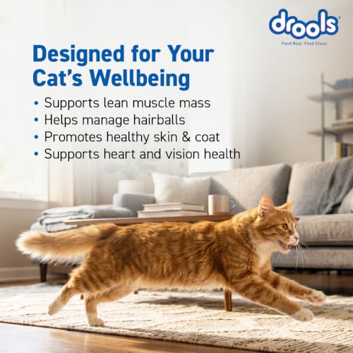 Image of Drools Adult Dry Cat Food 3kg | Ocean Fish | Supports Skin & Fur | Enhances Vision | No Artificial Flavours | Promotes Glossy Coat