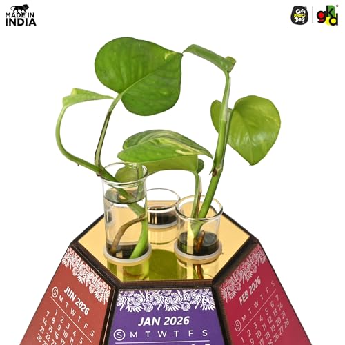 Image of Gift Kya De 2026 Desk Calendar with Hexagon Planter | Wooden 3D Pentagonal Table Calendar Big Size | Colourful Monthly Display | Premium Office Desk Decorative Item & Corporate Gift | Unique Table Decor