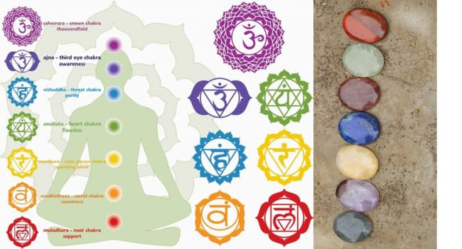 Miniatura 4 de Jet 7 piedras de chakra de forma ovalada seleccionadas a mano naturales para curación, reiki, meditación y equilibrio de chakras, tamaño aproximado