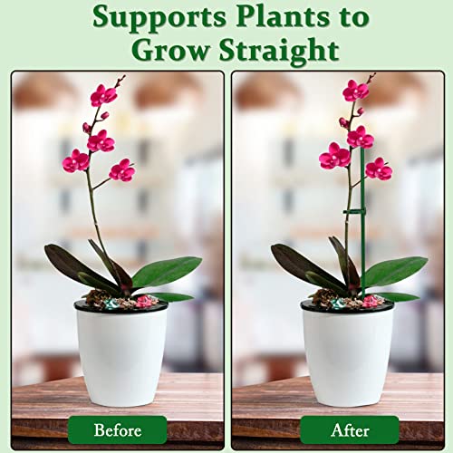 60Pcs Plant Stakes Set, Novwang 20Pcs 2 Sizes Plant Support Stakes With 40Pcs Ring Clips Adjustable Green Garden Sticks Stakes Single Stem Indoor For Flowers Plants Vine Bean Peony Orchid Tomato #TOP3