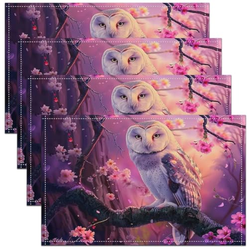 Lot de 4 Hibou Tapis de Table 45x30.3D Animal Print Sets de Table,Fleur de Hibou Sets de Table Enfants Filles Adolescents,Thème de La Nature Imperméable À...