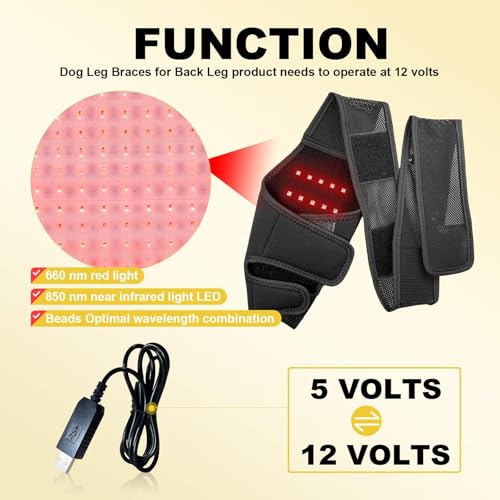 Image of Dog Acl Brace Hind Leg - Red Light Therapy for Dogs Professional Edition Dog Knee Brace for Torn Acl Hind Leg Accelerated Wound Healing Suitable for Mini Dogs (37-72Lb)(Black)(L)