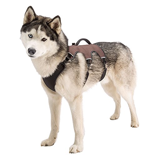 Ferplast Hundegeschirr Large ERGOTREKKING Large, Ausbruchsicheres Hundegeschirr, Greyhound, Perfekte Passform, Verstellbares Geschirr für Hunde, Reflektierend, Gepolstert, 6 Verschlüsse
