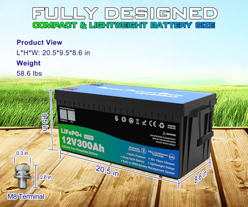 Image of 12 Volt 300Ah Lithium Golf Cart Battery, 12V LiFePO4 Battery, 200A BMS, 4000+ Cycles, 3.84 kWh Energy, 2.56kW Max Power Output, Perfect for Off-Grid, Home Storage, RV, Marine