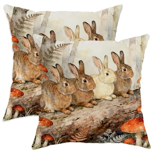 Rabbit Throw Pillow Covers Set of 2, Nature Rustic Mushroom Fern Fall Brown Soft Velvet Washable Decorative Pillow Cases for Living Room Apartment Bed Sofa Decor 26x26 Inch