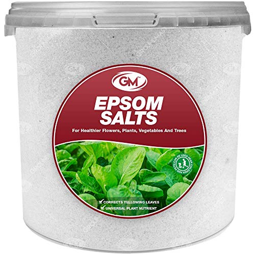 GroundMaster Epsom Salts Fertiliser 1L Tub