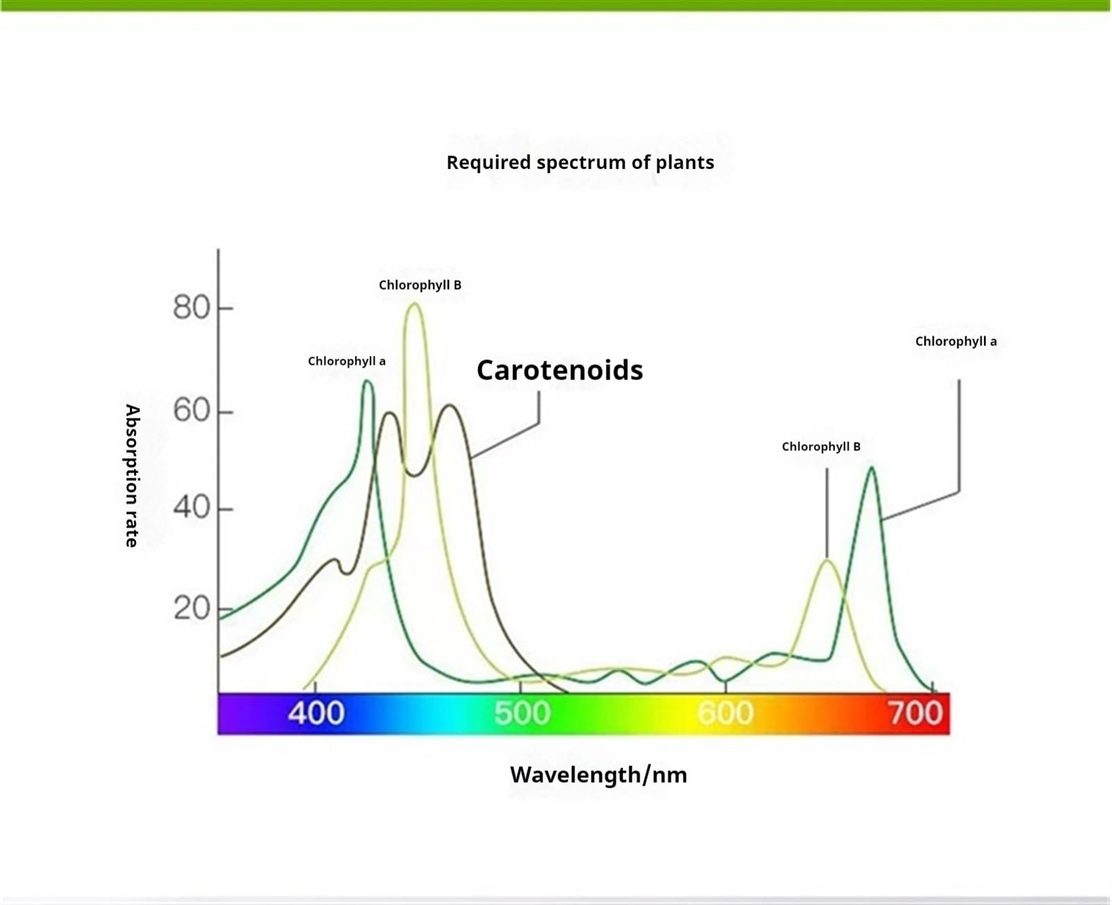 Lámpara de Cultivo, Lámpara de Crecimiento de Plantas, Espectro Completo 2000K, lámpara de Crecimiento Interior, Adecuada for plantaciones de Interior a Gran Escala(200W)