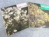 65th Bonsai Kokufu Exhibition Book - Nippon Bonsai Association (Japanese Edition with Limited English Subtitles) B00BXK8GB6 Book Cover