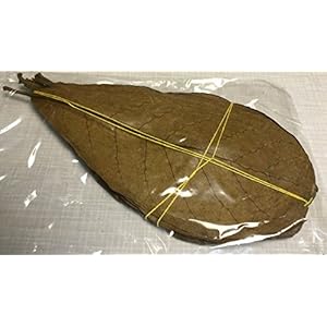 catappa-leaves Zeemandelboombladeren 10 stuks 15-20 cm natuurlijk gerijpte en gedroogde topkwaliteit Indian Almond