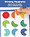 ZylYve Magnetic Fraction Flash Cards & Tiles Set - Circles, Educational Puzzle - Montessori Math Manipulatives for Elementary School Kids (Complete All-in-One Kit)