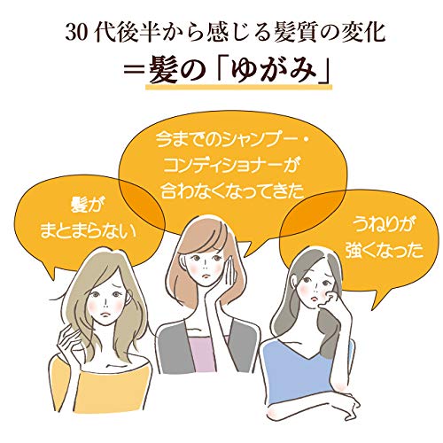 Après-shampoing à l'huile Dear Beaute Himawari contre les frisottis et cheveux rebelles 360ml