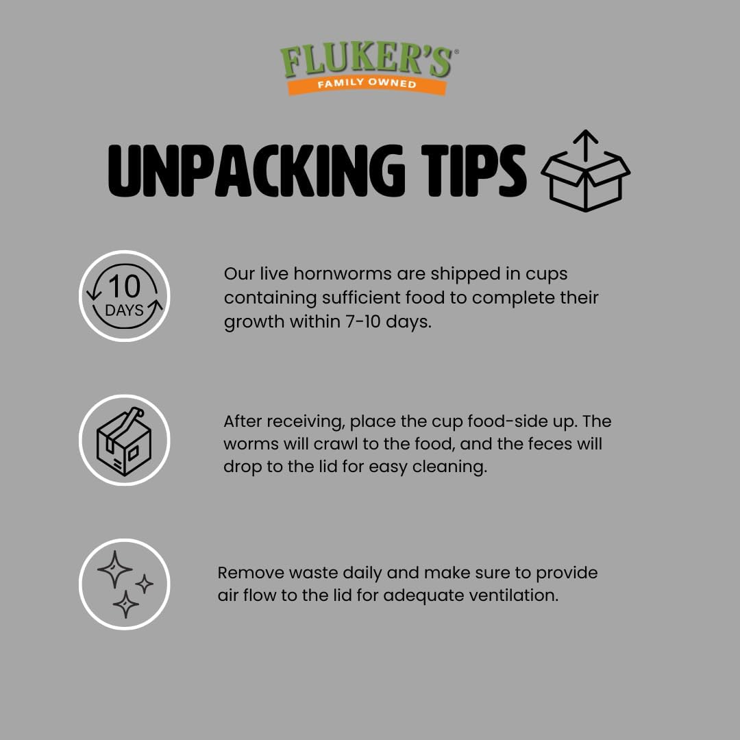 Fluker's Live Hornworms, 12 Count Cup, Premium High-Calcium Treats for Reptiles, Amphibians, and Birds