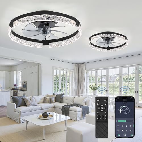 LEDIARY 2 Pack 20" Modern Ceiling Fans with Lights and Remote, Black