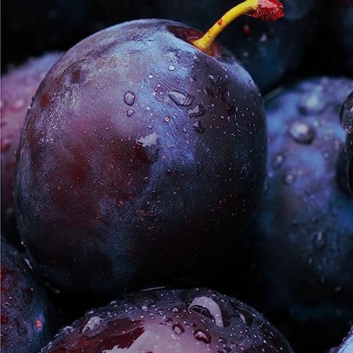 Boticario Nativa Spa Black Plum Body Lotion - Locao Ameixa Negra - 400 Ml 13.5Oz #TOP7