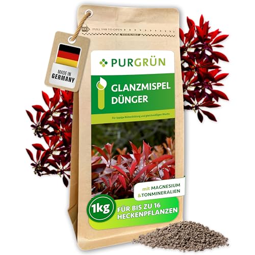 Purgrün® Glanzmispel-Dünger 1 kg – Organisch-mineralische...
