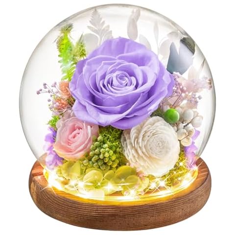 Flomoon Preserved Flowers Glass Ball Gift Cover