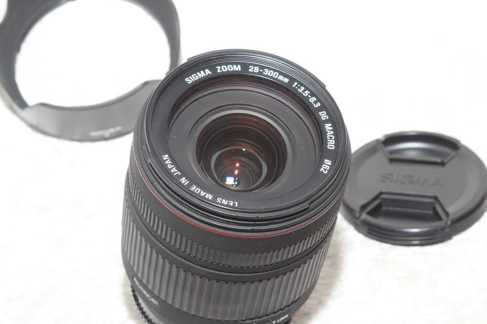 Amazon.com : Sigma 28-300mm f/3.5-6.3 DG IF Macro Aspherical Lens