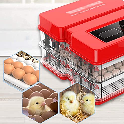 Broedeieren incubator 128 eieren Digitale Mini Automatische Incubator met Turner voor het uitkomen van Turkije Goose… - Afbeelding 6