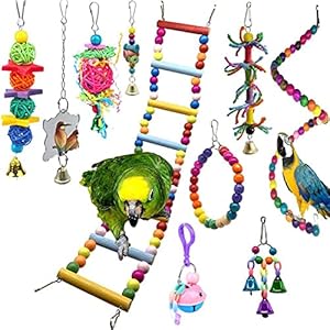 Vogelspeelgoed 10 stks A Pack Bird Parrot Accessoires Perch Swing Bell Mirror Chewing Toys Set voor kleine parkieten…