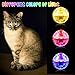 CHENGU 15 Pieces Ghost Hunting Light up Cat Balls Motion Activated Interactive Pet Toy Small LED Glowing Pet Ball for Animal Dog Running Activity Indoor Supplies, 1.38 x 1.5