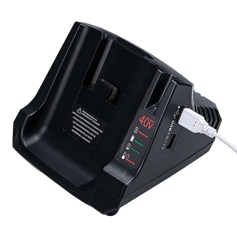 LCS36 LCS40 Caricabatterie rapido con doppia USB compatibile con batterie agli ioni di litio 36V 40V Max LBXR36 LBX36 LBXR2036 LBX2040(EU)