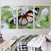 3 Piece Framed Canvas Wall Art Colorful Butterfly Insects Canvas Prints Home Artwork Decoration for Living Room,Bedroom - 16