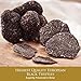 TruffleHunter - Preserved Whole Black Truffles - 1.06 Oz