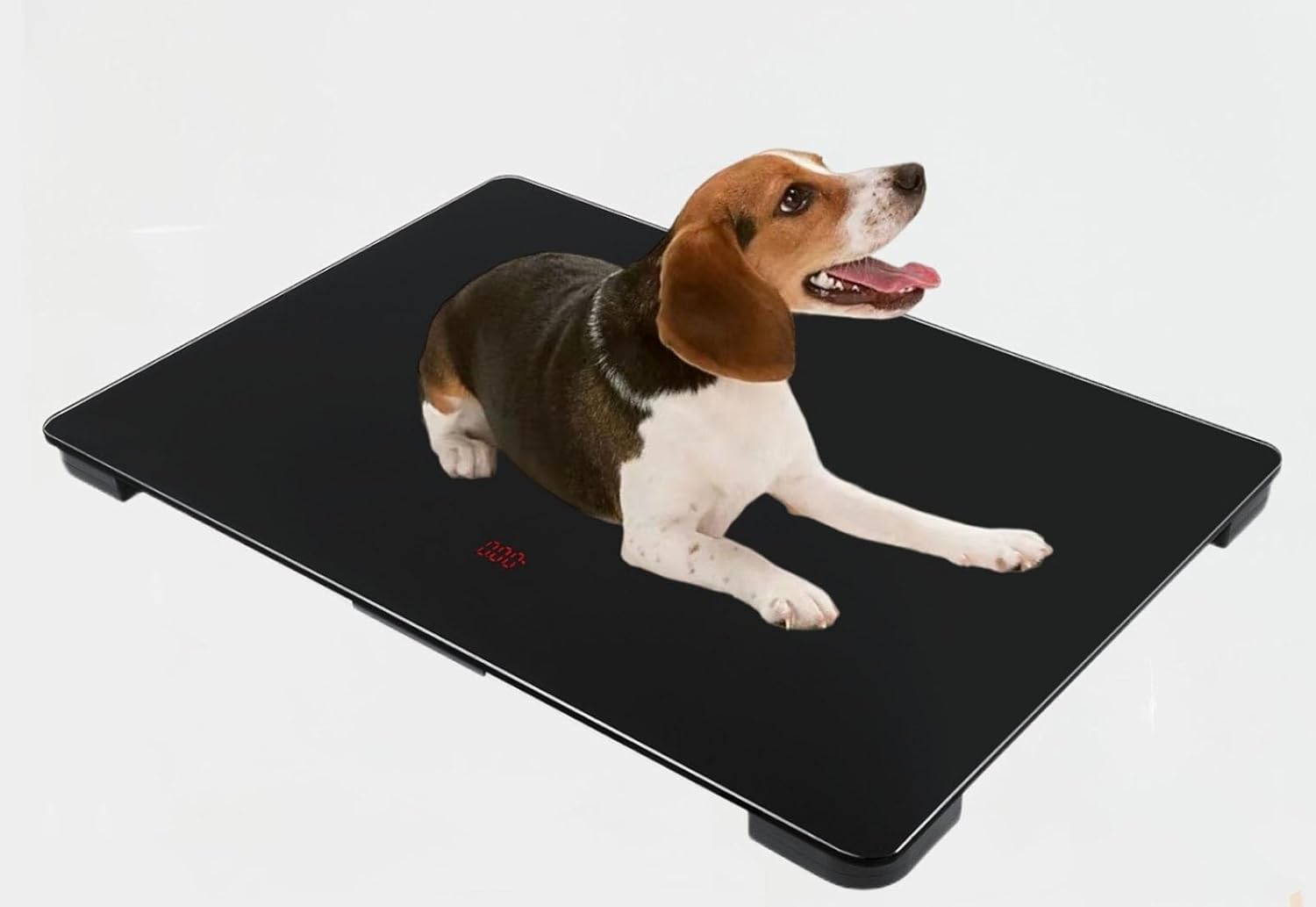 caulo Digital Pet Scale for Medium-Small Dogs/Large Cat, Max 220 Lbs, Precision 10g, Precision Digital Pet Scales,Battery Powered (80 * 50CM)