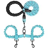MingXpets Double Dog Leash, Dual Dog Leash, 360° Swivel Tangle Free Bungee Walking Training for Large Medium Dogs, Shock Absorbing Bungee Reflective for Two Dogs, 18~120 lbs, Blue