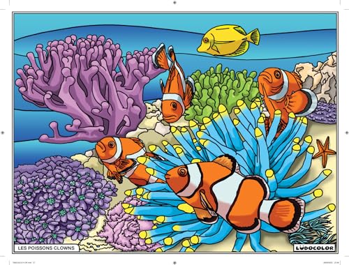 LudoColor Cuadro Terciopelo para Colorear Peces Payasos