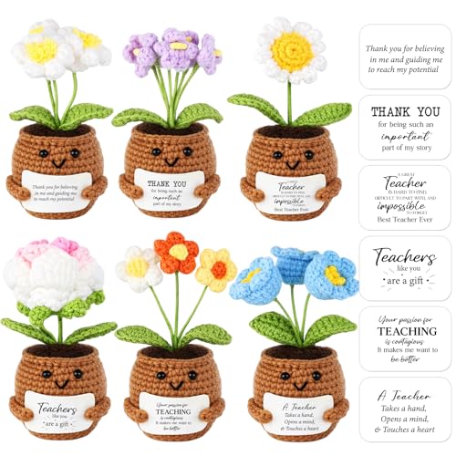 Plantas en maceta de ganchillo Geelin, el regalo positivo ideal para profesores y mujeres