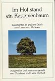  Im Hof stand ein Kastanienbaum. Geschichten in großem Druck zum Lesen und Vorlesen