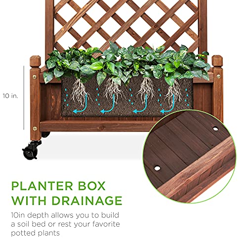 Best Choice Products 48in Wood Planter Box & Diamond Lattice Trellis, Mobile Outdoor Raised Garden Bed for Climbing Plants w/Drainage Holes, Optional Wheels - Walnut