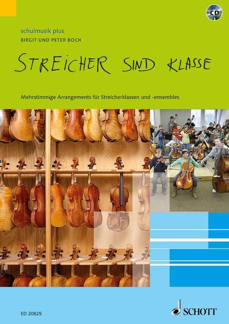 Streicher solution sonorité stable pour progresser en école de musique