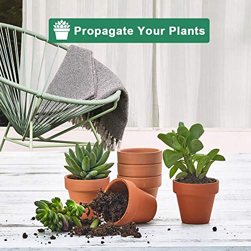 Vensovo 48 Pcs Tiny Terracotta Pots thumb #2