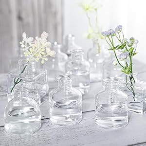 Small Mini Flower Vases Set of 20 Clear Glass Bud Vases Vintage Rustic Centerpieces for Weddings Events Home Decor Premium Quality Timeless Designs