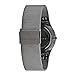 Skagen Men's Sundby Three-Hand Date Charcoal Gray Titanium Mesh Band Watch (Model: 233XLTTM)