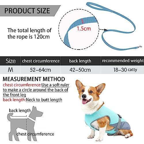 DKDDSSS Hund Kühlweste, Atmungsaktiv Hundekühlweste, Sommer Cool Hundejacke, Cooler Komfortabler Hundemantel, für Kleine Bis Mittelgroße Hunde Aktivitäten Draußen Training (Blue, M)