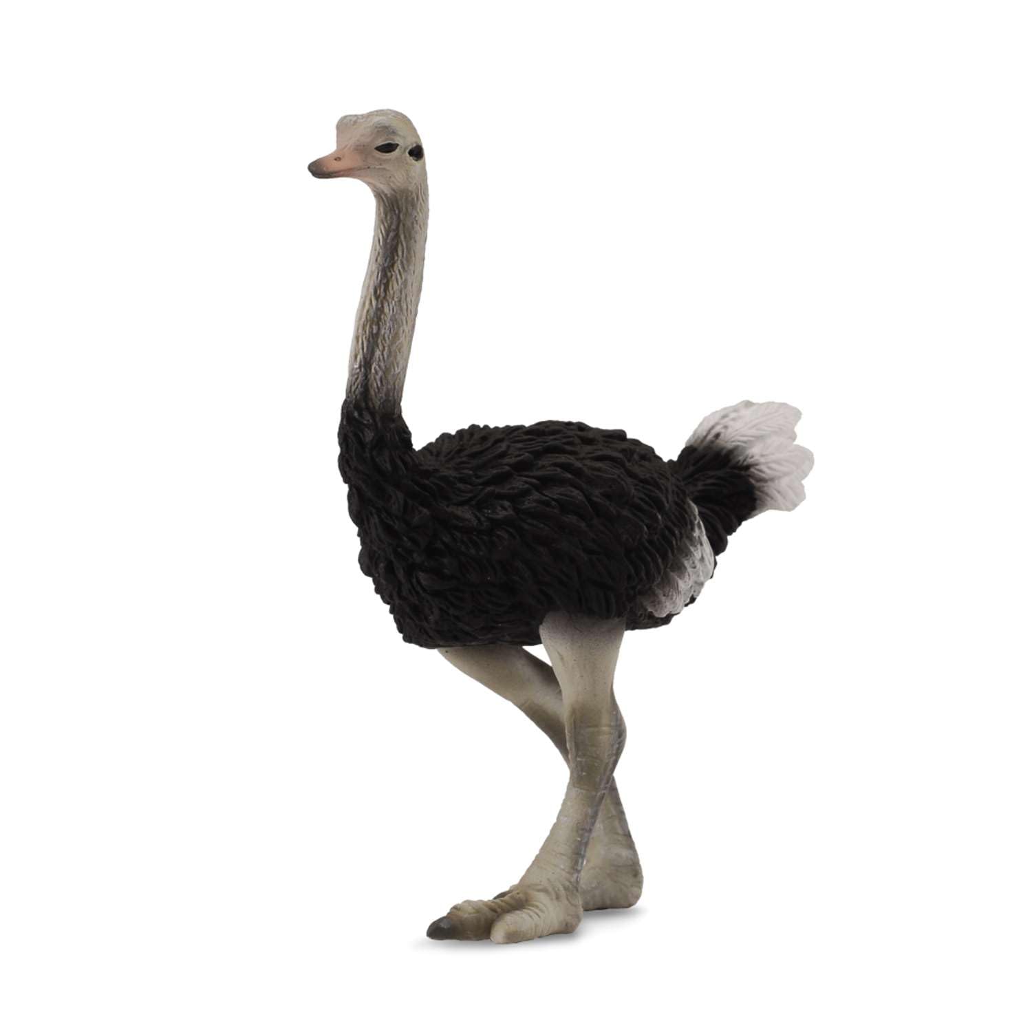 Collecta Ostrich Figure 3-6 Years