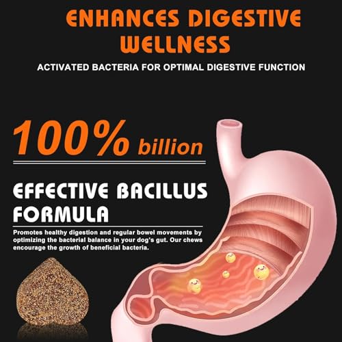 Daily Probiotics for Dogs - 120 Beef Flavored Soft Chews with Natural Pumpkin Powder for Healthy Gut & Sensitive Tummy. Reduces Scooting, Loose Stools, Smelly, Itchy Ears for Small, Medium, Large Dogs - Image 5
