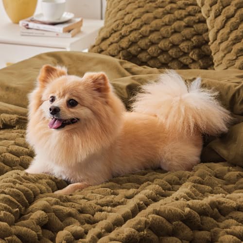 Image of BEDELITE Fluffy King Size Comforter Set - Brown Fleece Soft Comforter for King Size Bed, Luxury Warm Bedding Set for Winter, Fuzzy Bed Set 3 Pieces (1 Comforter, 2 Pillowcases)