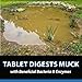 CrystalClear MuckOff, Natural Pond Muck Treatment, Water Garden, Fountain & Bird Bath Sludge Remover, Living Beneficial Bacteria Clarifier with Enzyme, Fish, Aquatic Animal, & Pet Safe, 24 Tablets