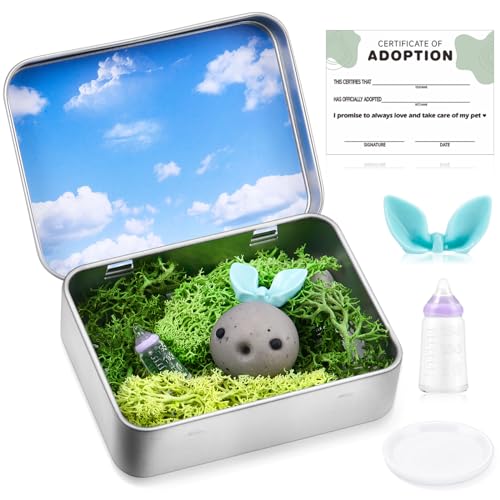 Tinideya 9 Pcs Rock Adoption Pets for Kids Adult Baby Rock Gag Gift for Christmas with Adoption Certificate Green Moss Tinplate Box Mini Baby Bottle Plate Bow Blue Sky Decorating Card