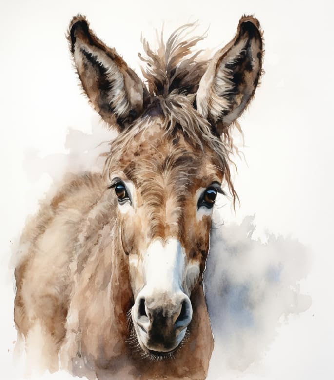 ZMHZMY Adults' Paint by Number Kits,Donkey Equine Animals,Paint by Number Kits on Canvas,DIY Oil Paintings for Kids Beginners Arts and Crafts,40x50cm No Frame