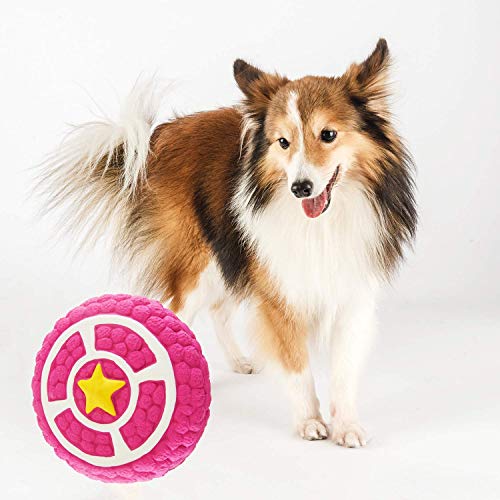Image of EETOYS Petlicious and More Dog Latex Squeaky Pie Toy (Medium)