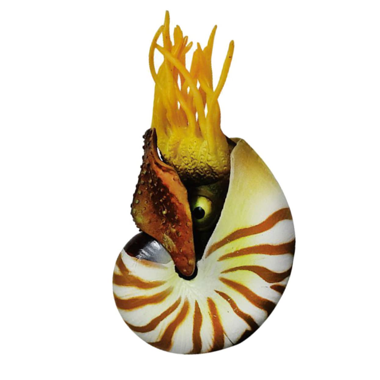 3stücke Simulation Nautilus Muscheldekor Für Aquarien Kreative Deko Für Fischbehälter Wohnzimmer Garten Bastelmaterial Für -kunstwerke Mediterraner Stil Hochwertige