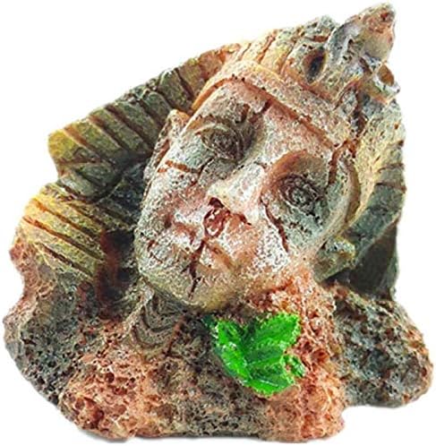 pianta della seta per il pesce betta